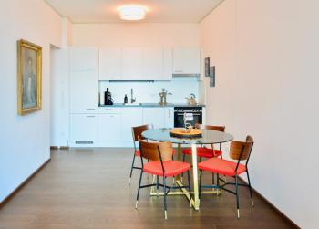 Brand-New, Close to Centre, Rooftop-Summer-Pool, Vienne (photo 3)