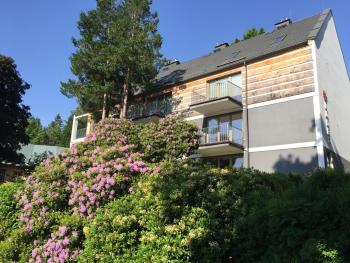 Apartament Grafitowy Willa Laser, Szklarska Poręba (foto 4)