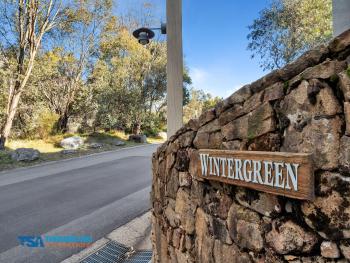 Wintergreen 5, Thredbo (photo 4)