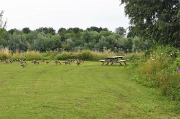 Floating vacationhome Sylt, Maastricht (foto 3)