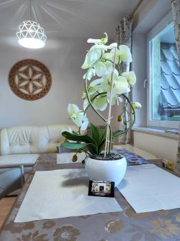 Apartamentylove - Apartament Oliwia, Zakopane (fotografie 5)