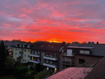 Ferienwohnung in Düsseldorf Hassel, Düsseldorf (photo 4)