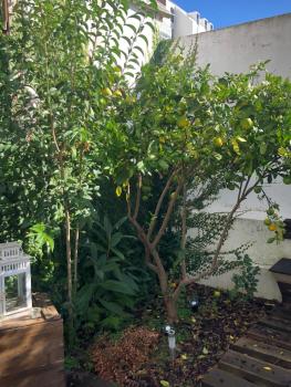 Garden Apartment, Lisabon (fotografie 3)