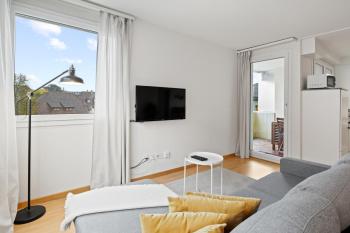 Bright, Central & Modern apartment, Lucern (fotografie 4)