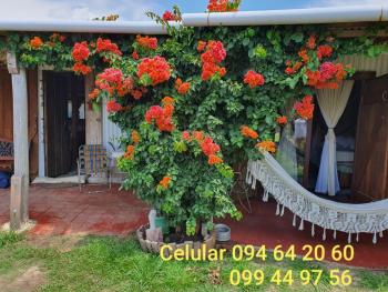Quindio, Barra del Chuy (photo 5)