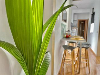 Apartamentos Puerta Real Sevilla, Sevilla (Foto 2)