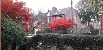 Bird Song Guest House Old Trafford, Manchester (photo 2)