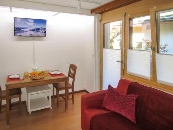 Apartment Sungold-1 by Interhome, Zermatt (foto 5)