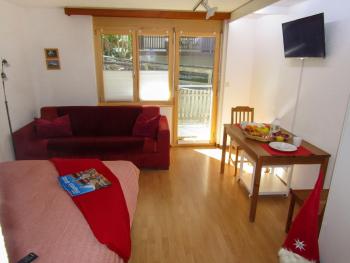 Apartment Sungold-2 by Interhome, Zermatt (fotografie 3)