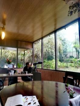 Cecropia Ecolodge, Fortuna (zdjęcie 3)