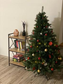 V15 Apartment, Druskininkai (foto 3)