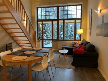 Apartamenty 4 i 45 w Willi Józefina, Sklářská Poruba (fotografie 4)