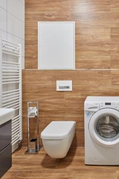 Prague Days - Deluxe Apartments near Wenceslas Square, Praha (fotografie 5)
