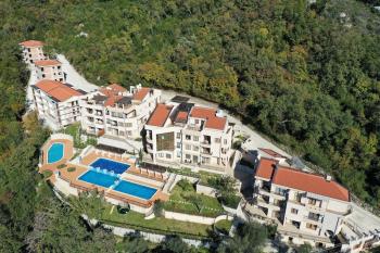 Forest Stream, Herceg-Novi (photo 4)