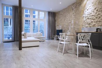 Ausone Beautiful loft apartment in historical center + terrace and parking, Bordeaux (foto 5)