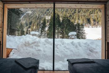 Tenne Chalets, Racines (foto 4)