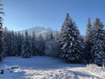 Apartament Chata Toma, Zakopane (fotografie 2)