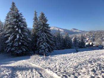 Apartament Chata Toma, Zakopane (fotografie 4)