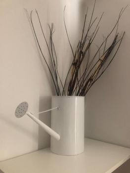 MyRoom sui Portici, Boloňa (fotografie 4)