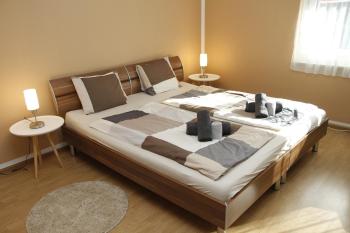 Pension Breite, Basilea (foto 4)