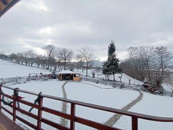 Vila Rem, Bran (zdjęcie 5)
