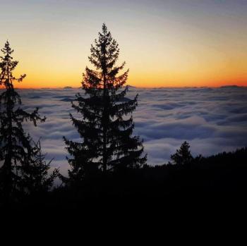 Гранд Манастира Частен Апартамент, Pamporovo (fotografie 3)