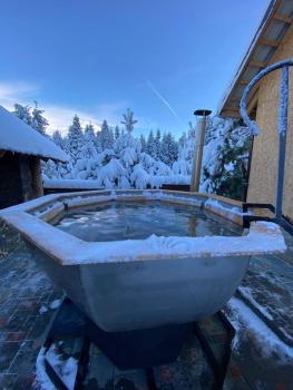 Котедж ВІКТОРІЯ, Bubnyshche (Foto 5)