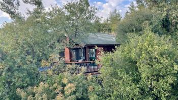 First Light Cabins, Amirim (foto 3)
