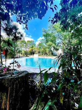Hotel Tequila Cancun, Cancún (zdjęcie 2)