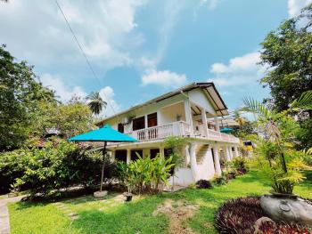 Alice in Paradise, Unawatuna (photo 2)