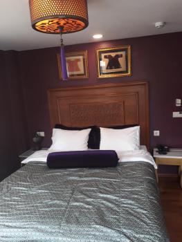 Merial Hotel Sultanahmet, Istanbul (fotografie 4)