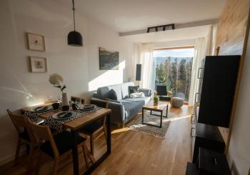 Apart Invest Widok 800 C7, Szklarska Poręba (foto 3)