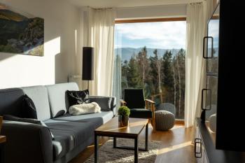 Apart Invest Widok 800 C7, Szklarska Poręba (foto 2)
