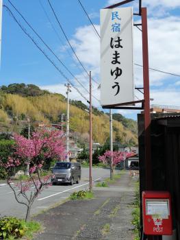 Hamayuu, Higashiizu (zdjęcie 5)