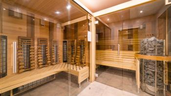 Sun & Snow, Prywatne apartamenty z mini SPA, Szklarska Poręba (foto 5)