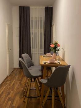 Gesamte Unterkunft in Zentrumsnähe, Vídeň (fotografie 3)