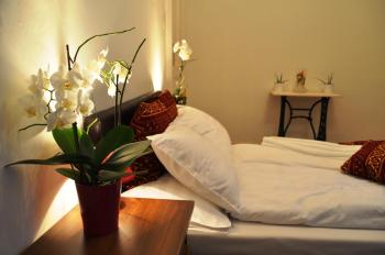 Green Terrace Apartment Budapest, Budapešť (fotografie 5)
