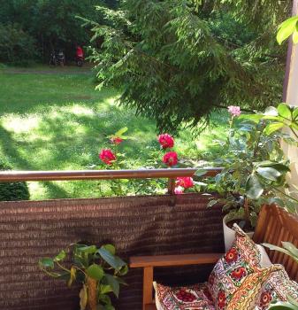 Green Oasis, Berlin (photo 3)