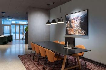 Radisson Blu 1919 Hotel, Reykjavík, Reykjavík (fotografie 4)