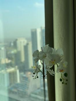 LHG ADDRESS BEACH Unlimited access to SKYPOOL and BEACH facilities, Dubai (photo 3)