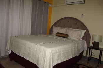 Comfy, Central & Elegant Studio New Kingston, Кингстон (фото 2)