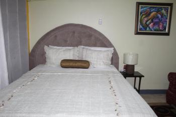 Comfy, Central & Elegant Studio New Kingston, Кингстон (фото 4)