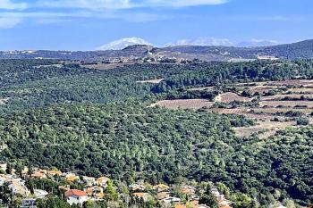 אוויר הרים, Kefar Weradim (photo 3)