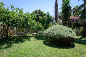 Giardino Segreto - Via Foria 216 Ammezzato, Neapel (Foto 3)