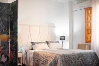 Apartamento Pavaneras en pleno centro de Granada, Granada (fotografie 2)