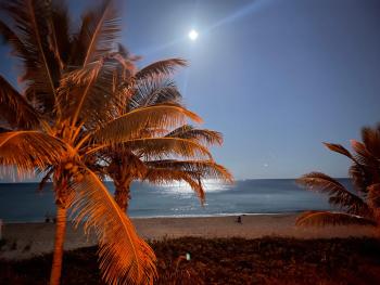StudioBTS - Lauderdale-By-The-Sea, Pompano Beach (photo 2)