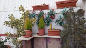 La Terraza, Vinarós (fotografie 4)