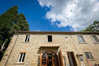 fringuello - Mandorlo, Cortona (zdjęcie 3)