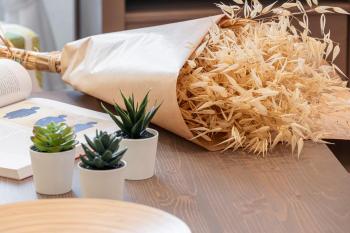 FEEL HOME - BARILLERIE, Nice (fotografie 3)