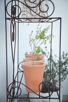 EpiStay, Tulbagh (foto 2)